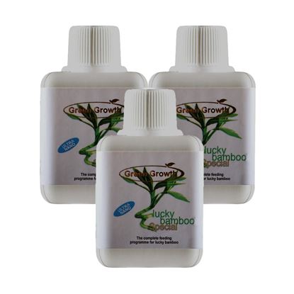 کود مایع لاکی بامبو گرین گروت مدل Lucky Bamboo Special  